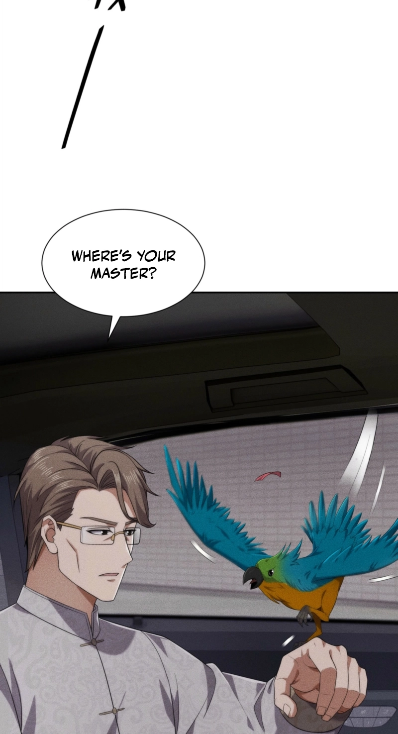 Read Urban Dragon Revealed chapter 101 image 18 on Lezhin