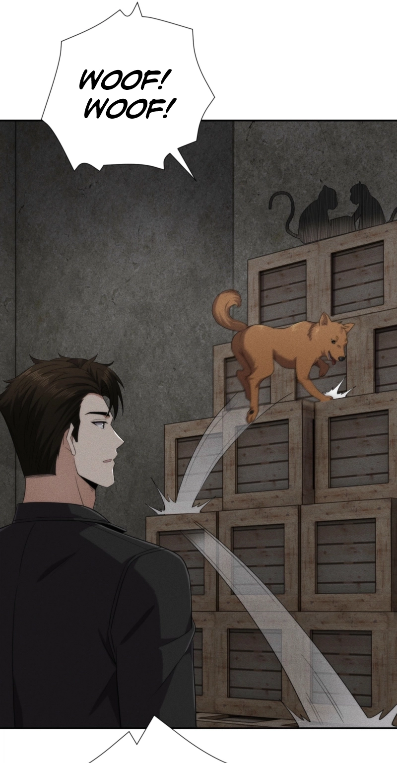 Read Urban Dragon Revealed chapter 101 image 31 on Lezhin