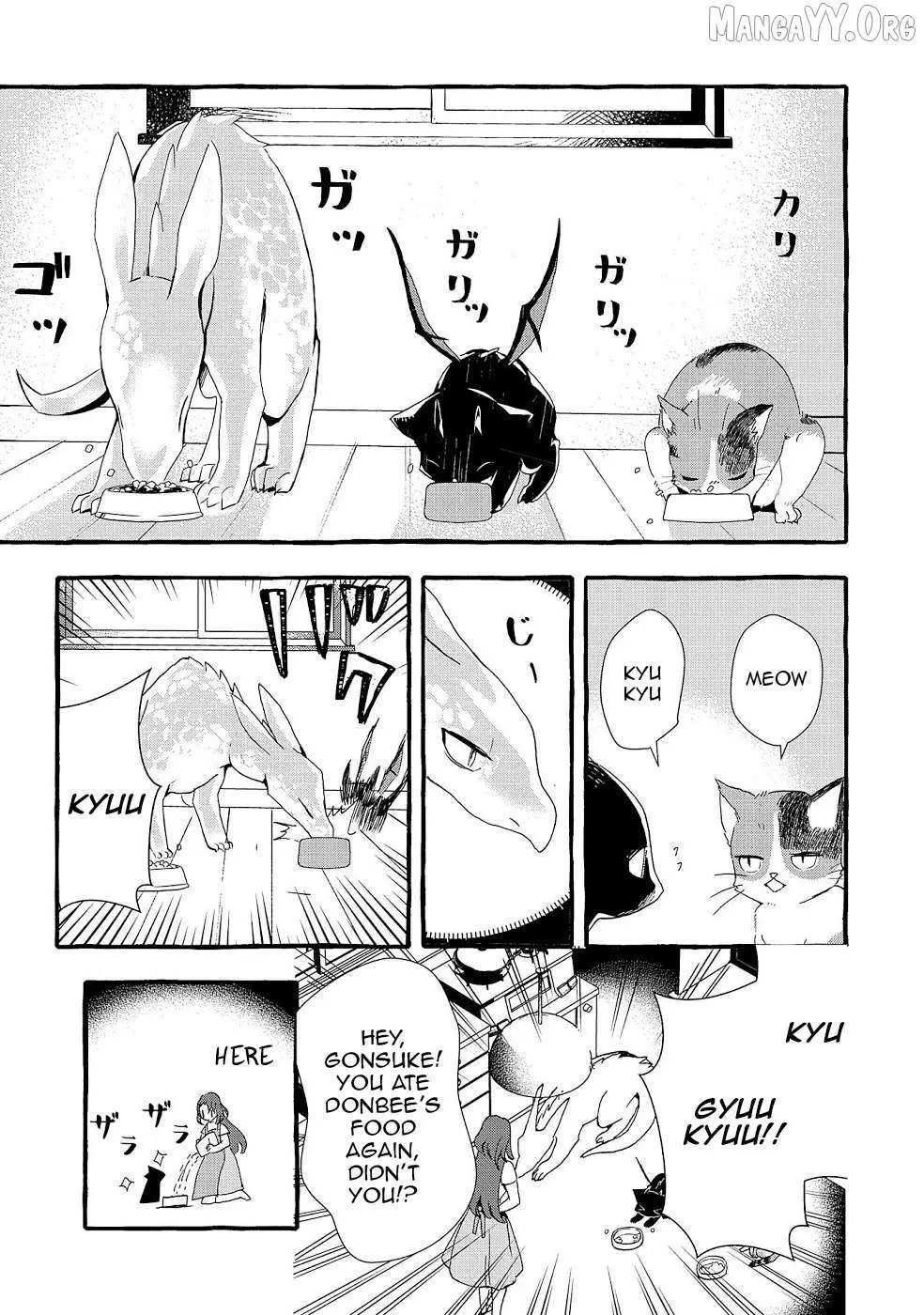 Urgent Request: How to Raise an Abandoned Dragon Chapter 20 page 6 - 