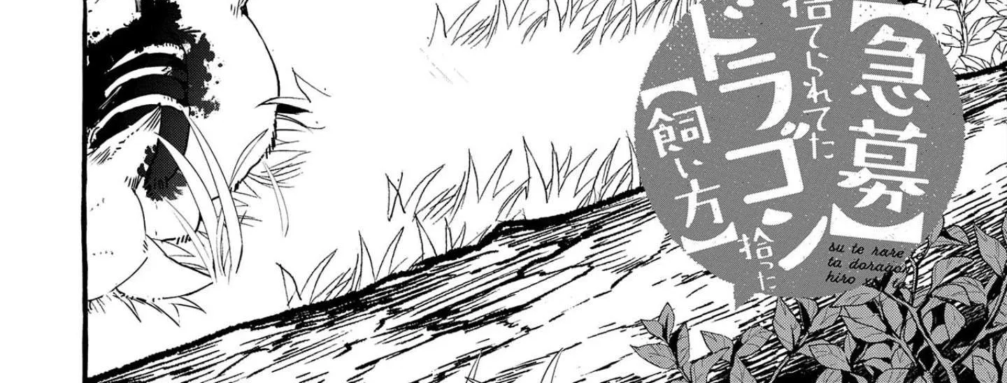 Urgent Request: How to Raise an Abandoned Dragon Chapter 3 page 4 - 
