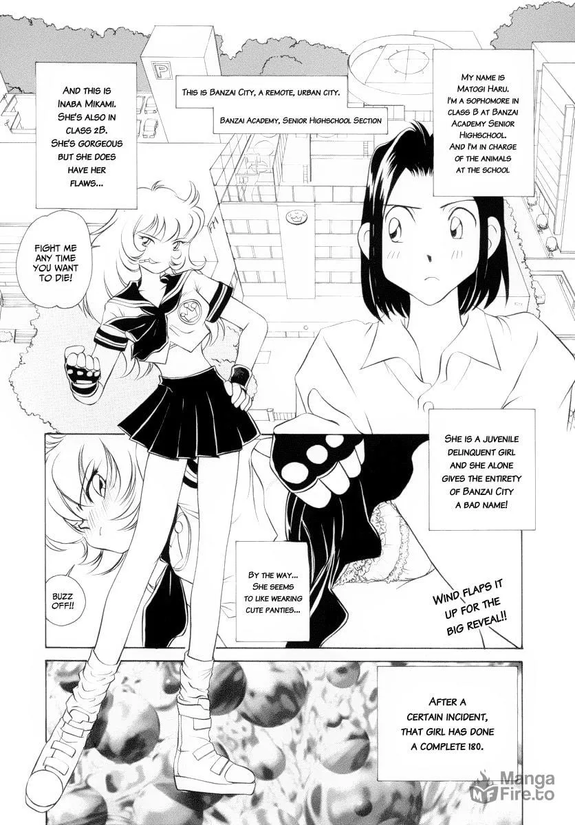 Read Usagi-chan de Cue!! chapter 2 image 2 on Lezhin