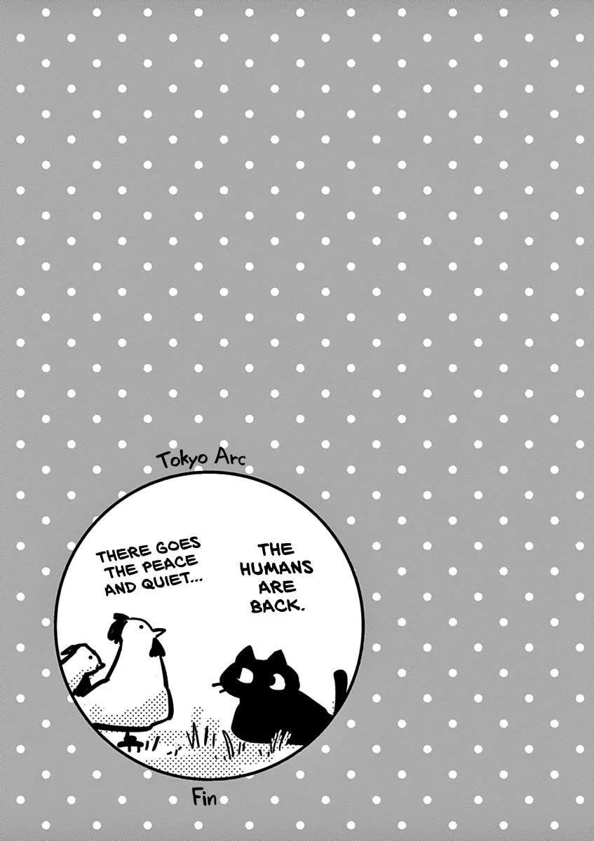 Read Useless Ponko chapter 61 image 18 on Lezhin