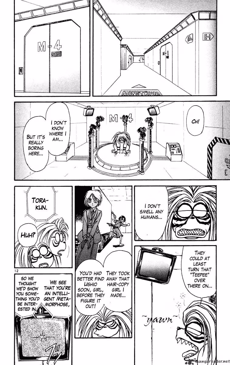 Read Ushio and Tora chapter 224 image 12 on Lezhin