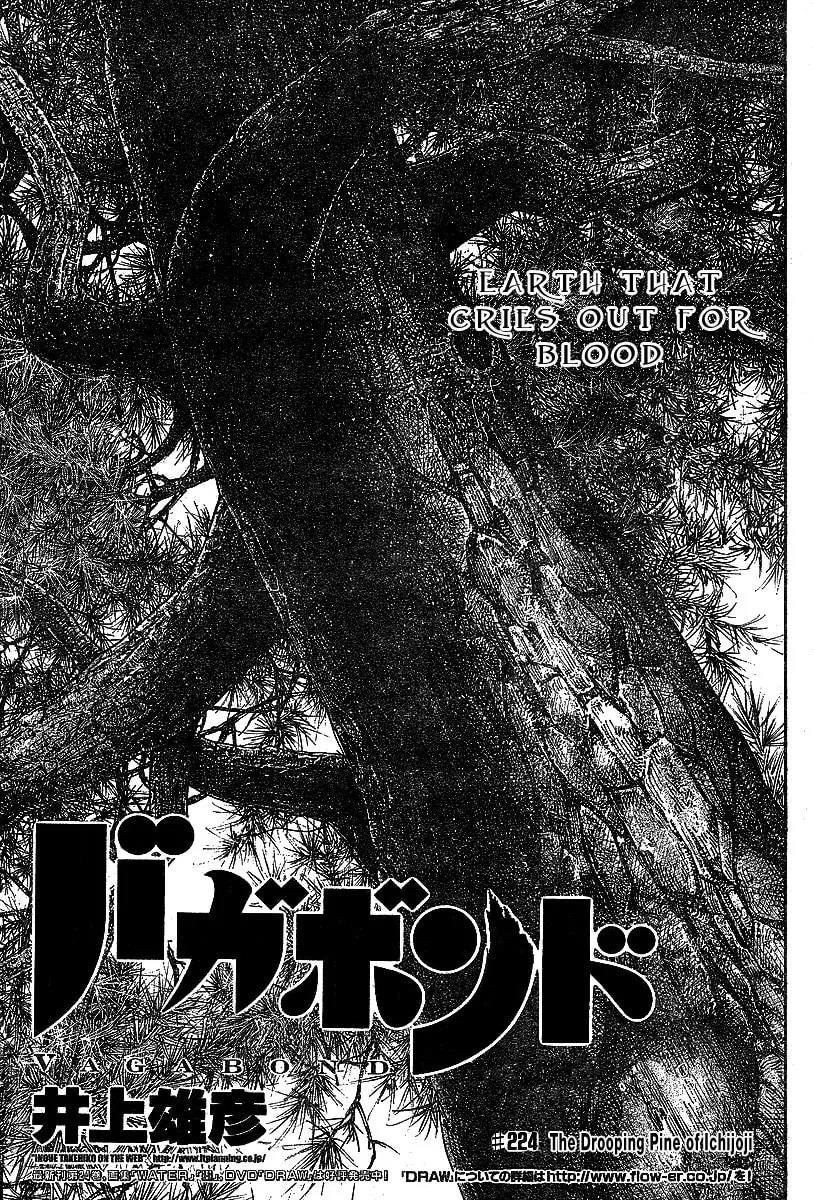 Read Vagabond (Colored) chapter 224 image 1 on Lezhin