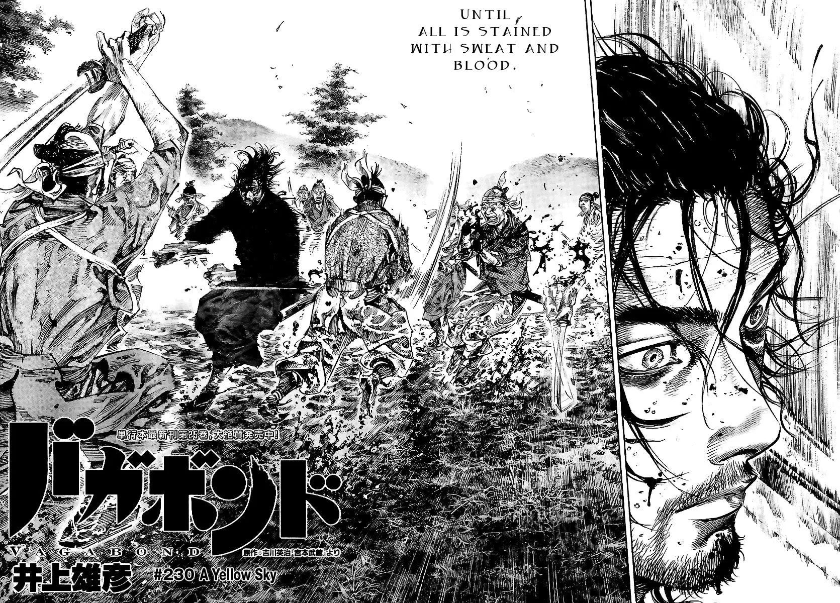 Read Vagabond (Colored) chapter 230 image 1 on Lezhin