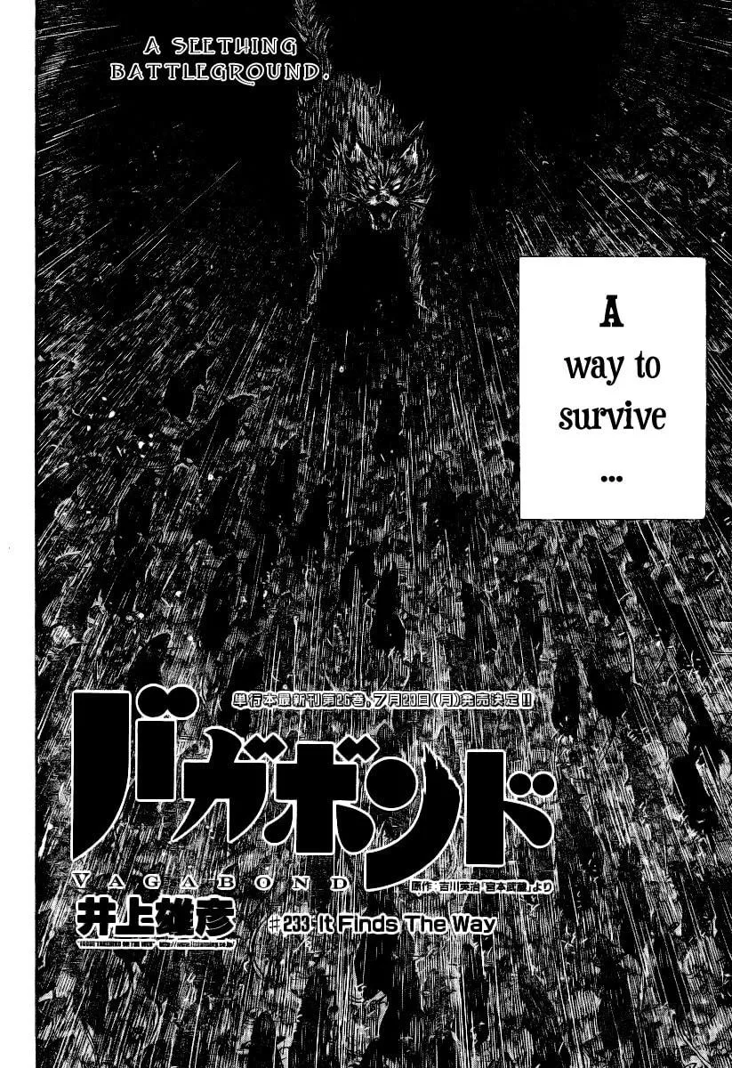 Read Vagabond (Colored) chapter 233 image 2 on Lezhin