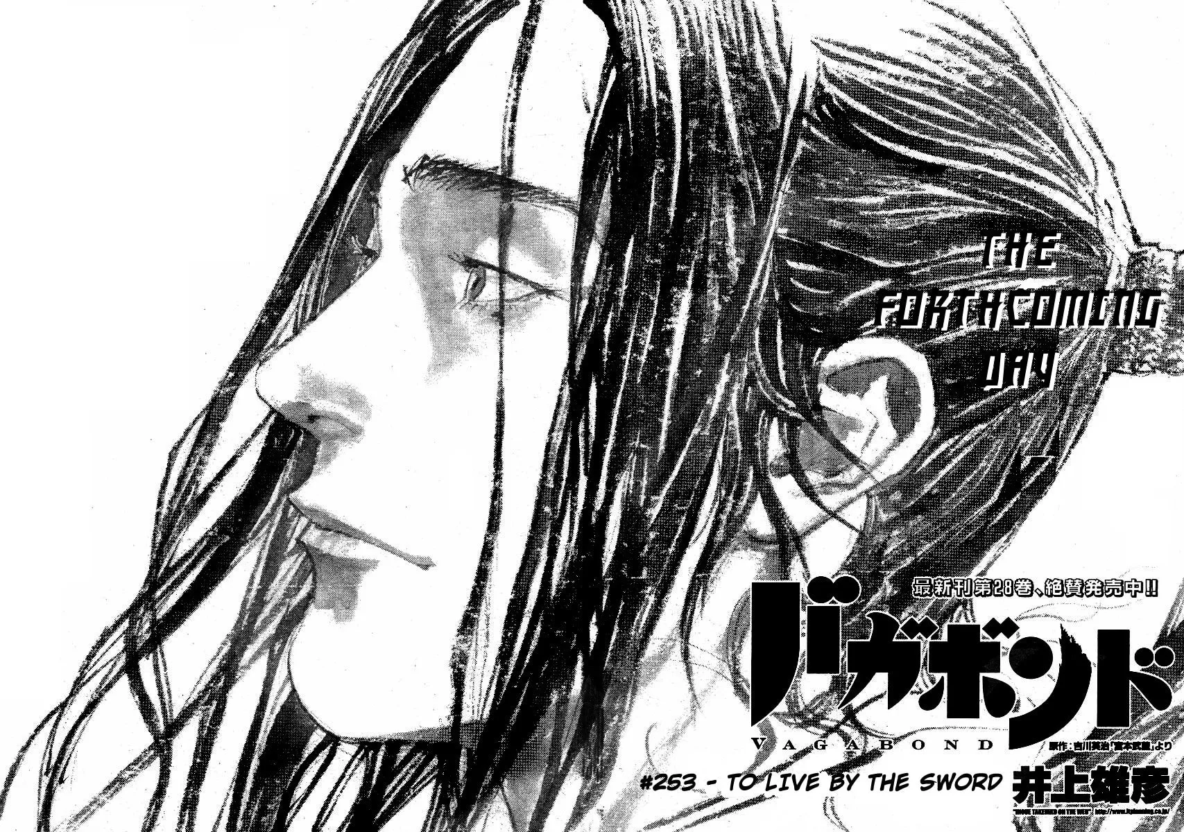 Read Vagabond (Colored) chapter 253 image 2 on Lezhin