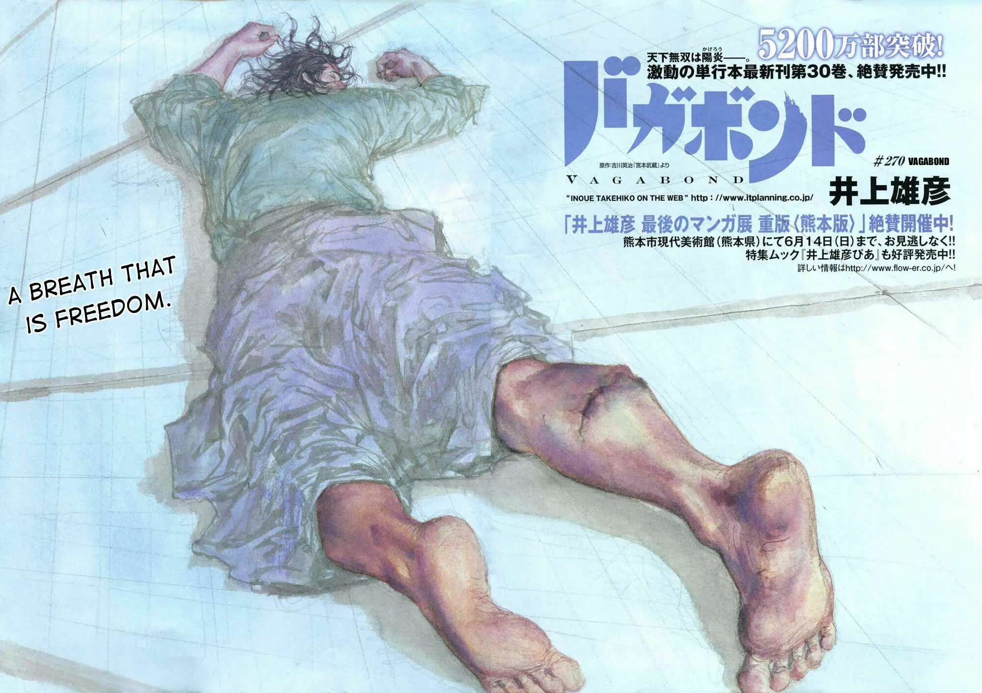 Read Vagabond (Colored) chapter 270 image 2 on Lezhin