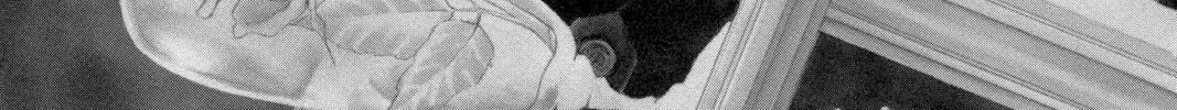 Read Vampire Knight: Memories chapter 28 image 3 on Lezhin