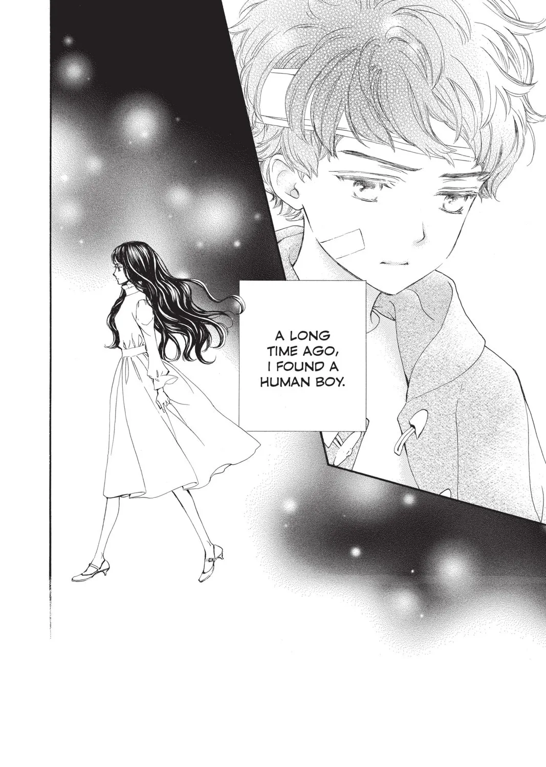 Read Vampire Knight: Memories chapter 33 image 2 on Lezhin