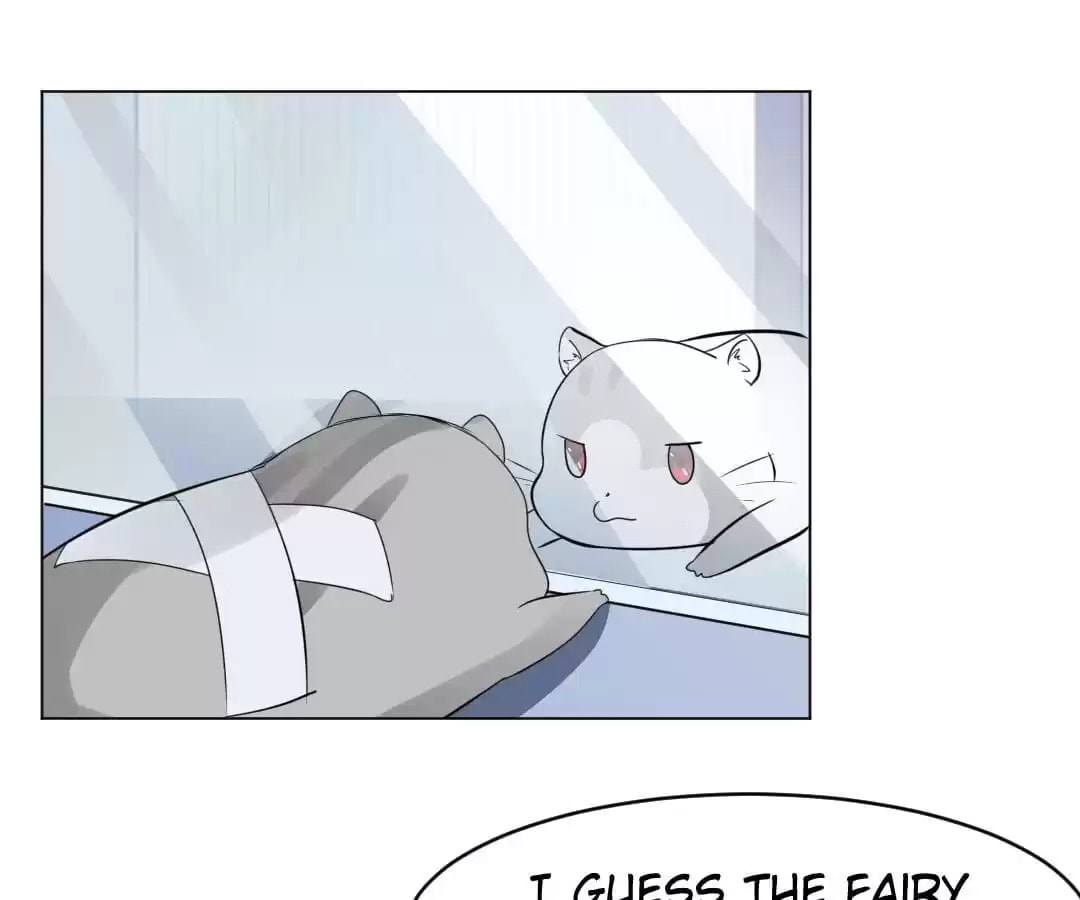Read Vampire Taboo (Colored) chapter 2 image 37 on Lezhin