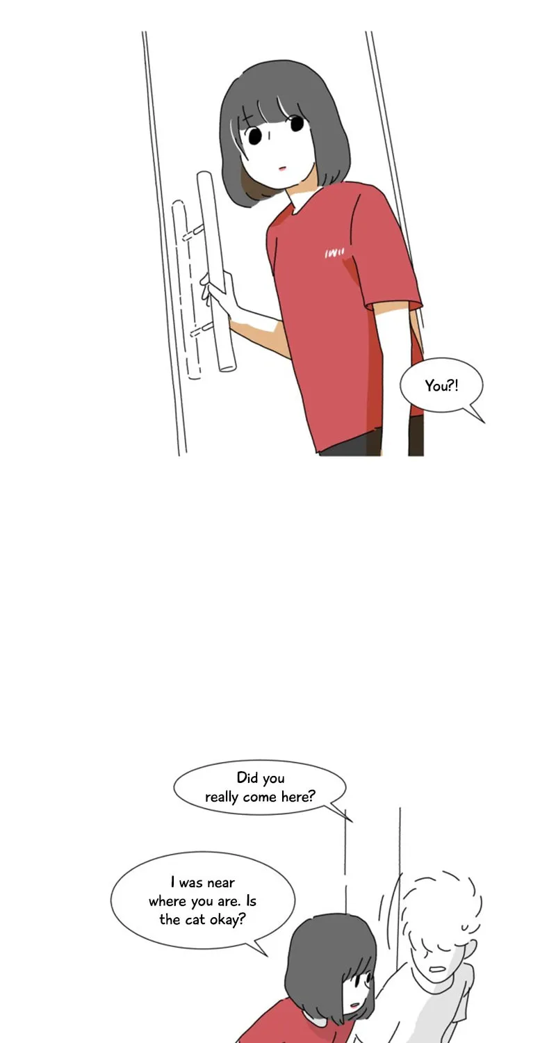 Veggie Hot Bun's School Spring Holiday Chapter 49 page 47 - 