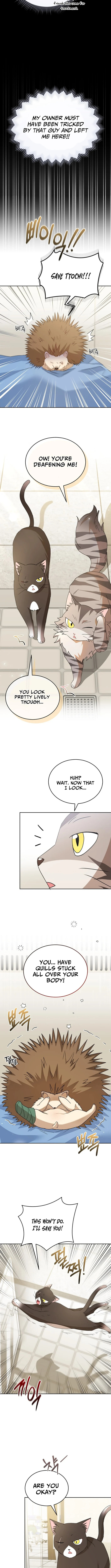 Read Veterinarian! Hello? chapter 100 image 4 on Lezhin