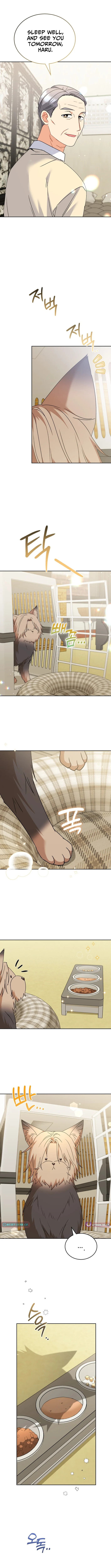 Read Veterinarian! Hello? chapter 103 image 2 on Lezhin