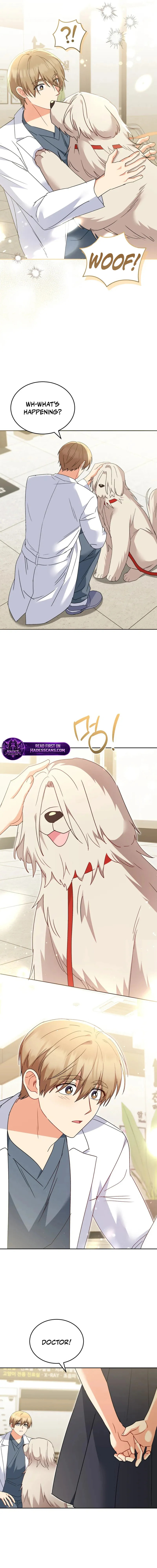 Read Veterinarian! Hello? chapter 112 image 12 on Lezhin