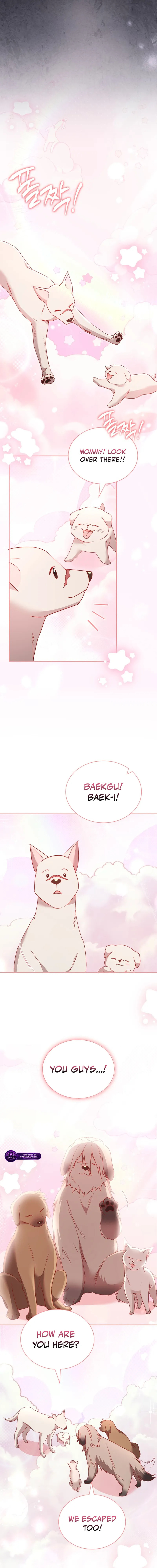Read Veterinarian! Hello? chapter 115 image 13 on Lezhin