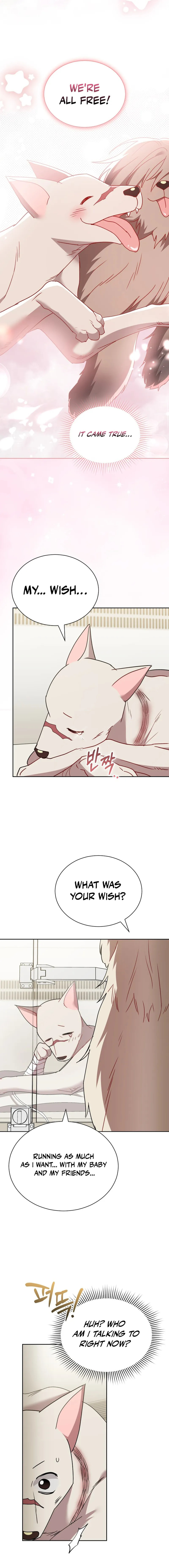 Read Veterinarian! Hello? chapter 115 image 14 on Lezhin