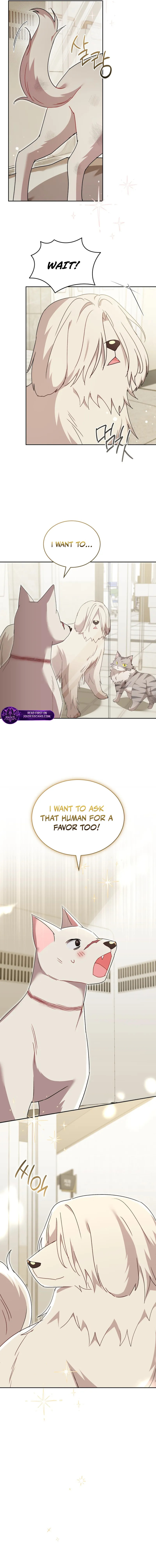 Read Veterinarian! Hello? chapter 116 image 9 on Lezhin