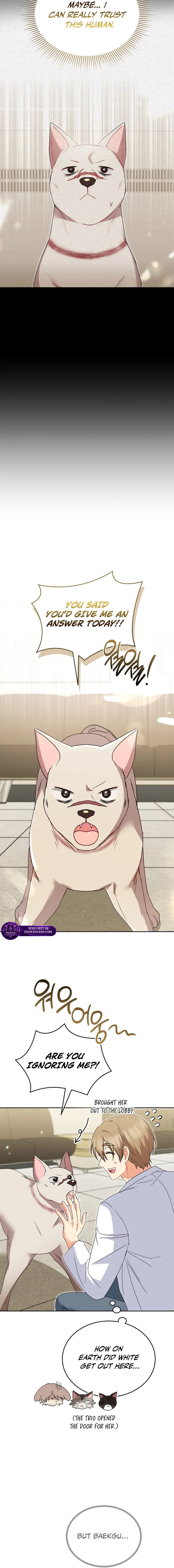 Read Veterinarian! Hello? chapter 117 image 3 on Lezhin