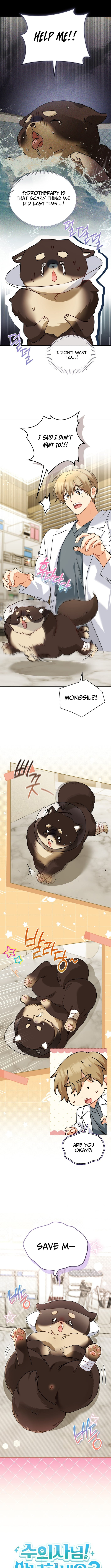 Read Veterinarian! Hello? chapter 128 image 2 on Lezhin
