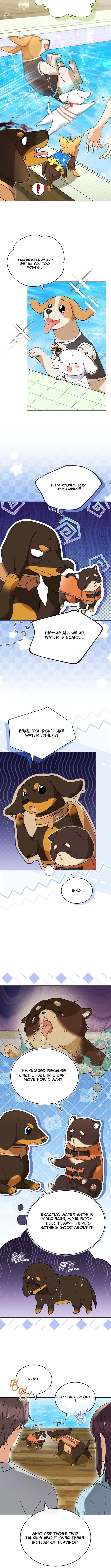 Read Veterinarian! Hello? chapter 129 image 4 on Lezhin