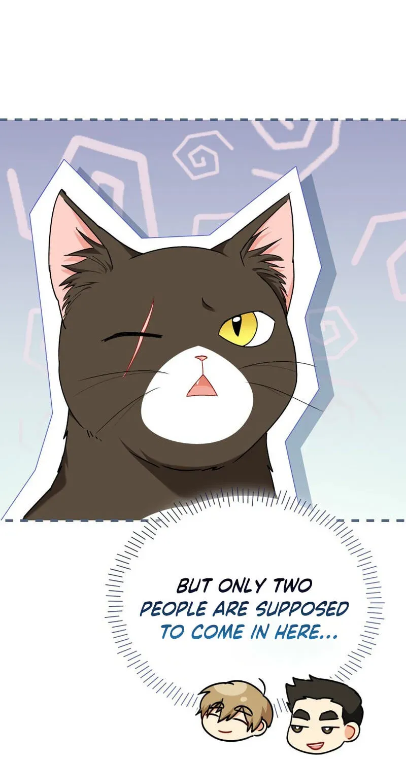 Read Veterinarian! Hello? chapter 137 image 106 on Lezhin