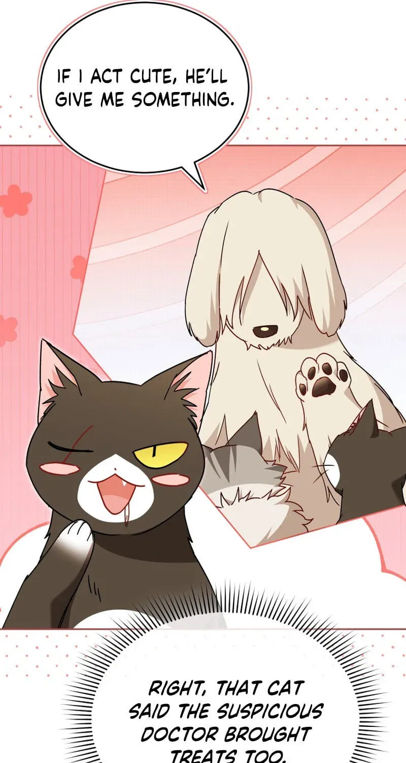 Read Veterinarian! Hello? chapter 137 image 112 on Lezhin