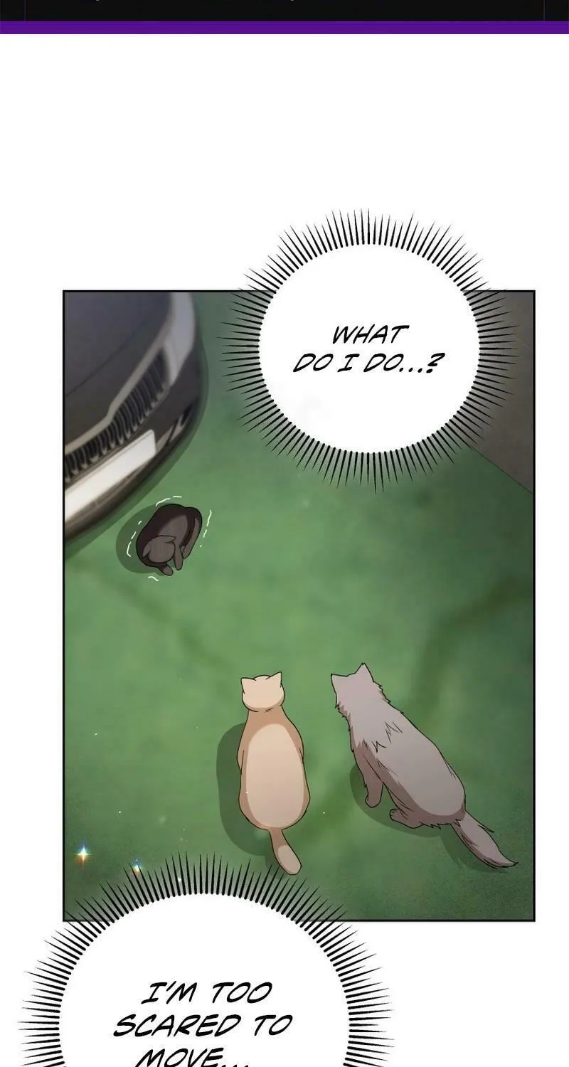 Read Veterinarian! Hello? chapter 77 image 1 on Lezhin