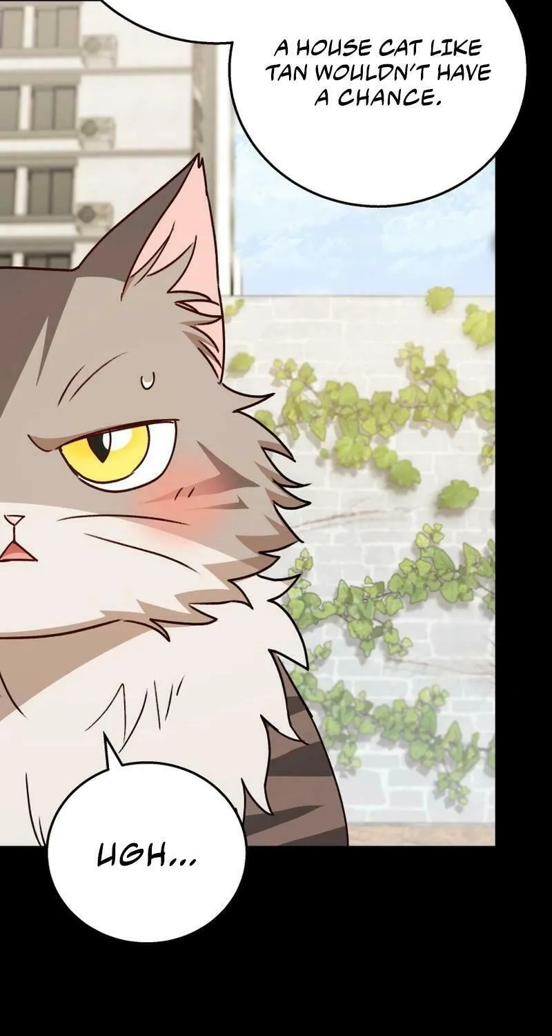 Read Veterinarian! Hello? chapter 77 image 39 on Lezhin
