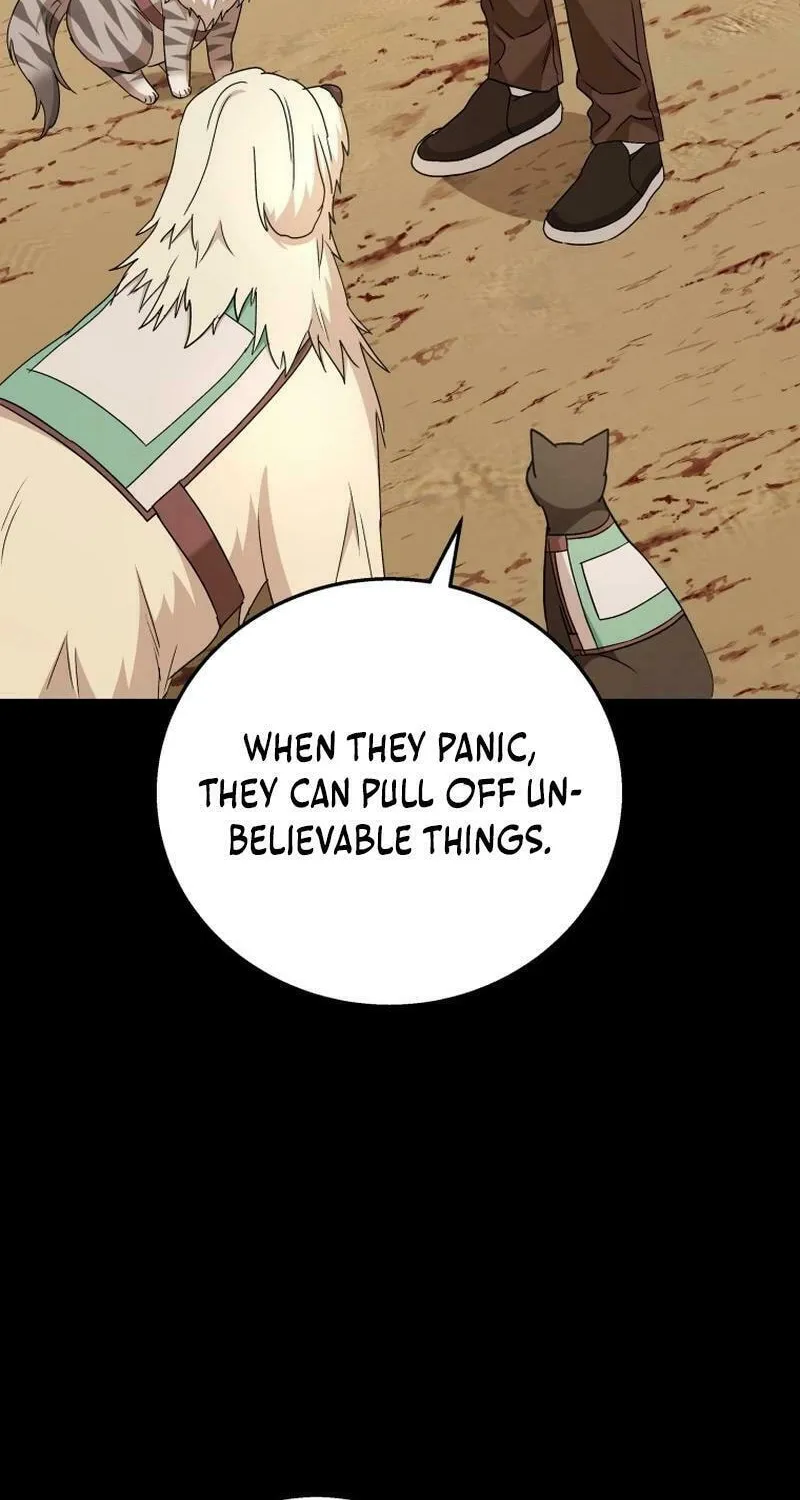 Read Veterinarian! Hello? chapter 77 image 43 on Lezhin