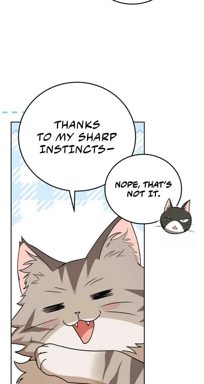Read Veterinarian! Hello? chapter 78 image 5 on Lezhin