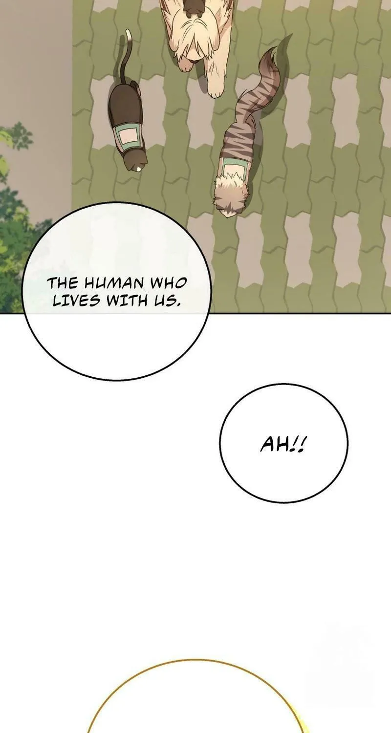 Read Veterinarian! Hello? chapter 78 image 7 on Lezhin