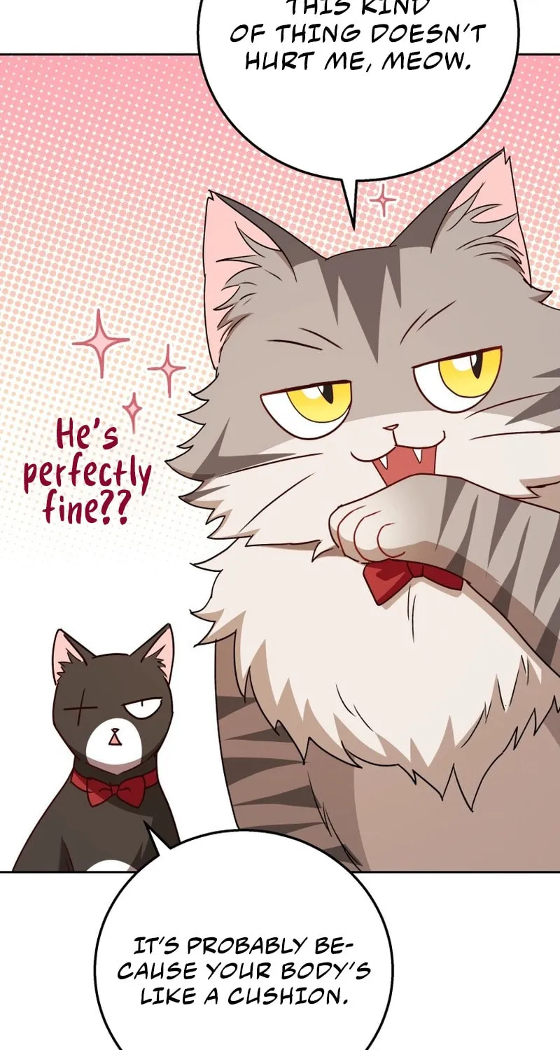 Read Veterinarian! Hello? chapter 79 image 34 on Lezhin