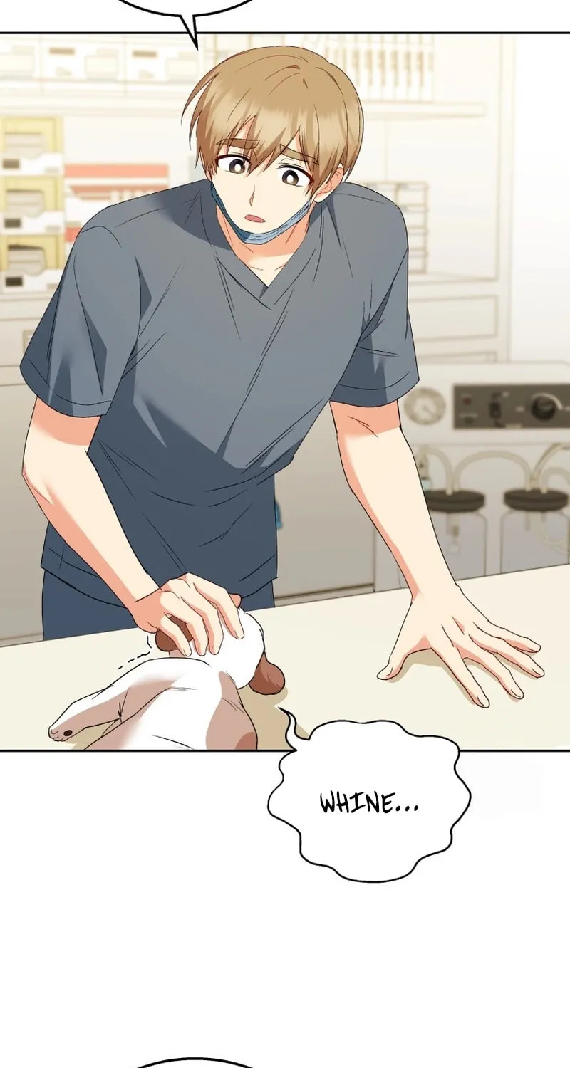 Read Veterinarian! Hello? chapter 80 image 35 on Lezhin