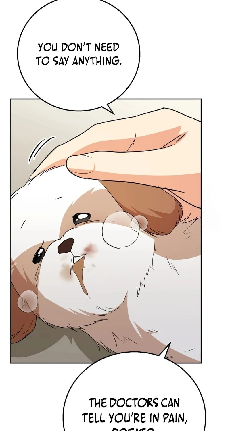 Read Veterinarian! Hello? chapter 80 image 36 on Lezhin