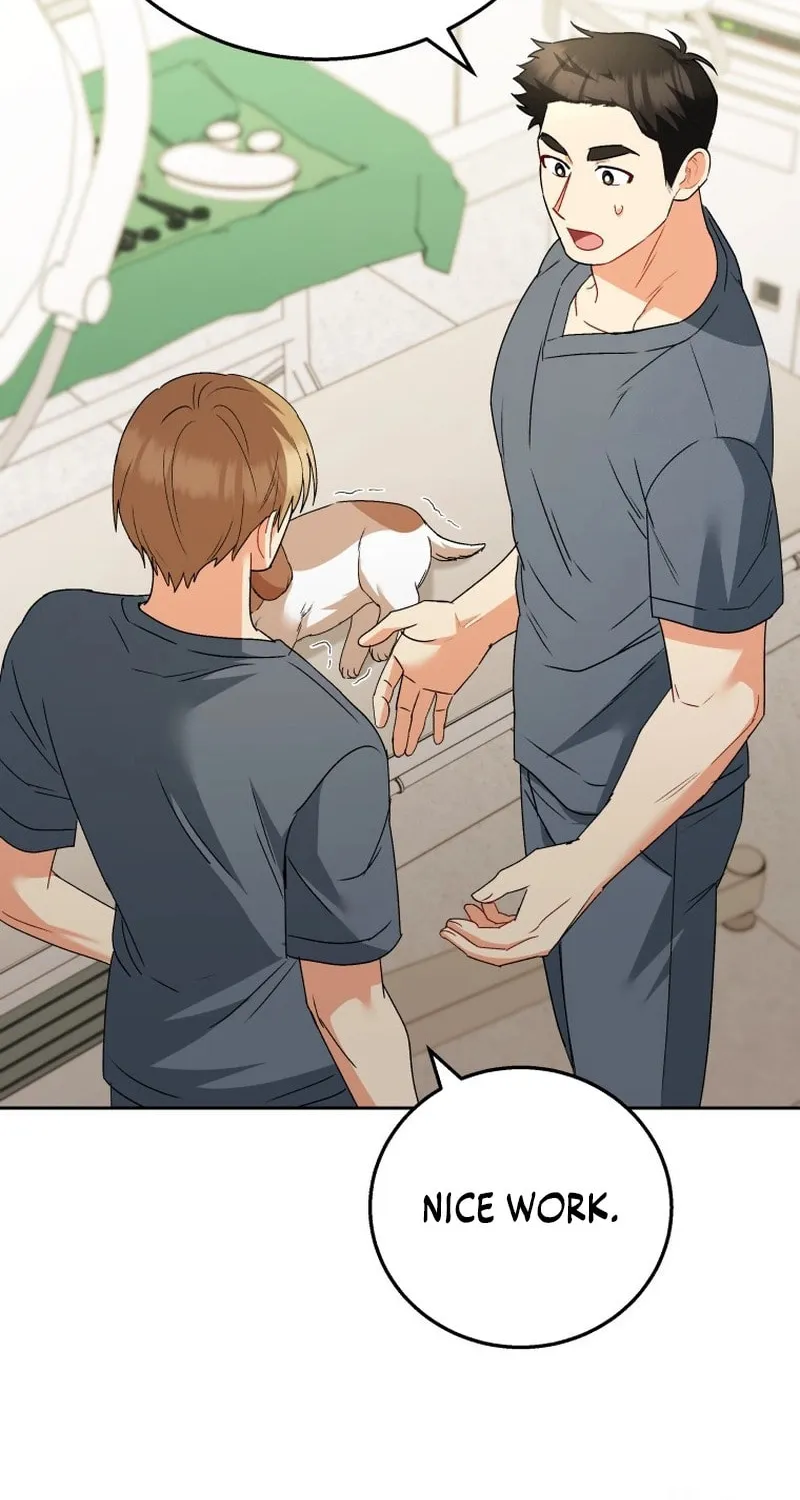 Read Veterinarian! Hello? chapter 80 image 4 on Lezhin