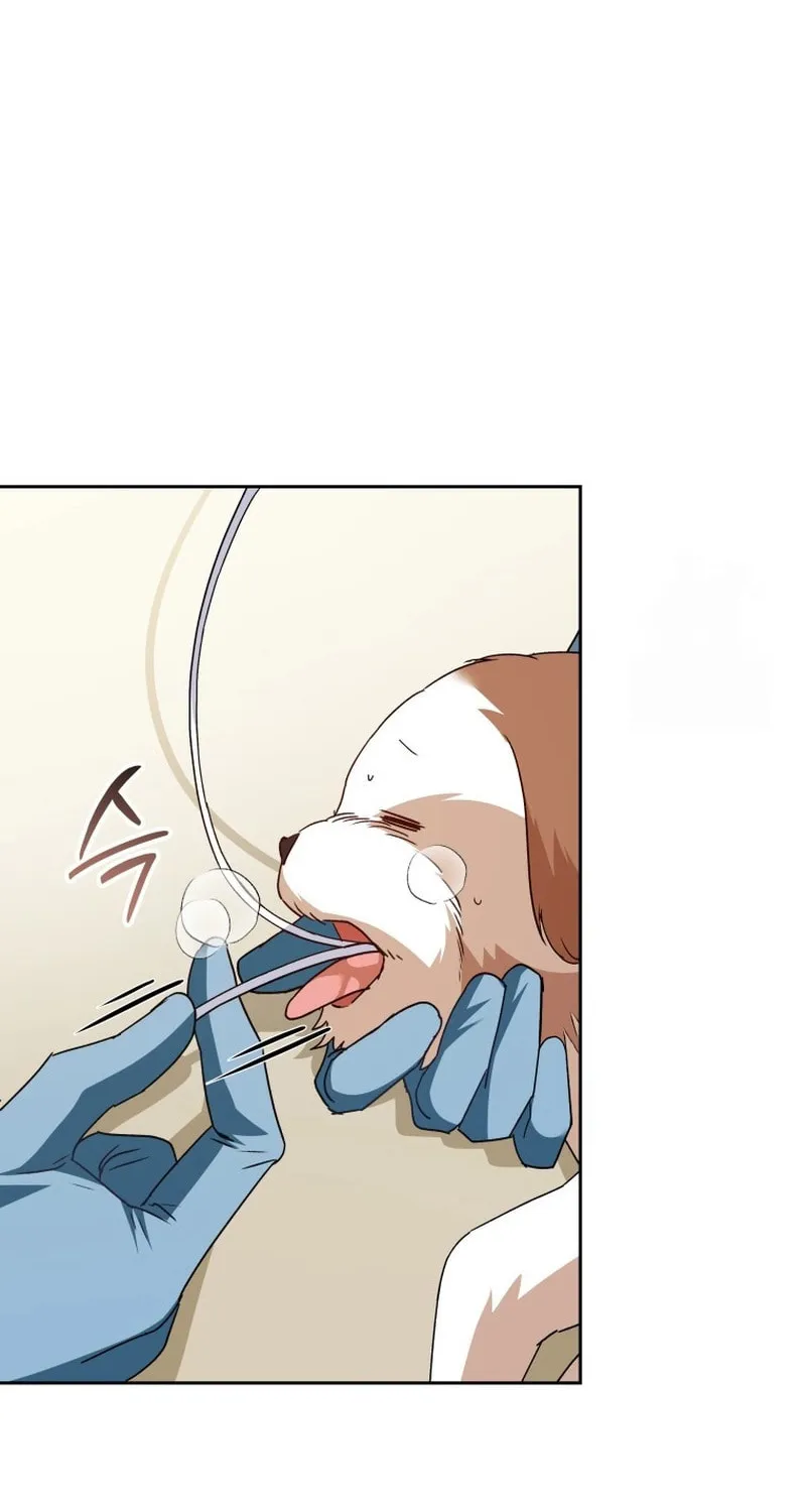 Read Veterinarian! Hello? chapter 80 image 46 on Lezhin
