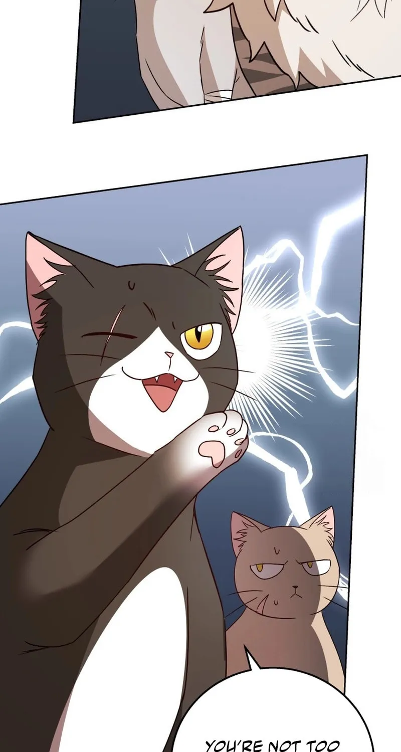Read Veterinarian! Hello? chapter 80 image 86 on Lezhin