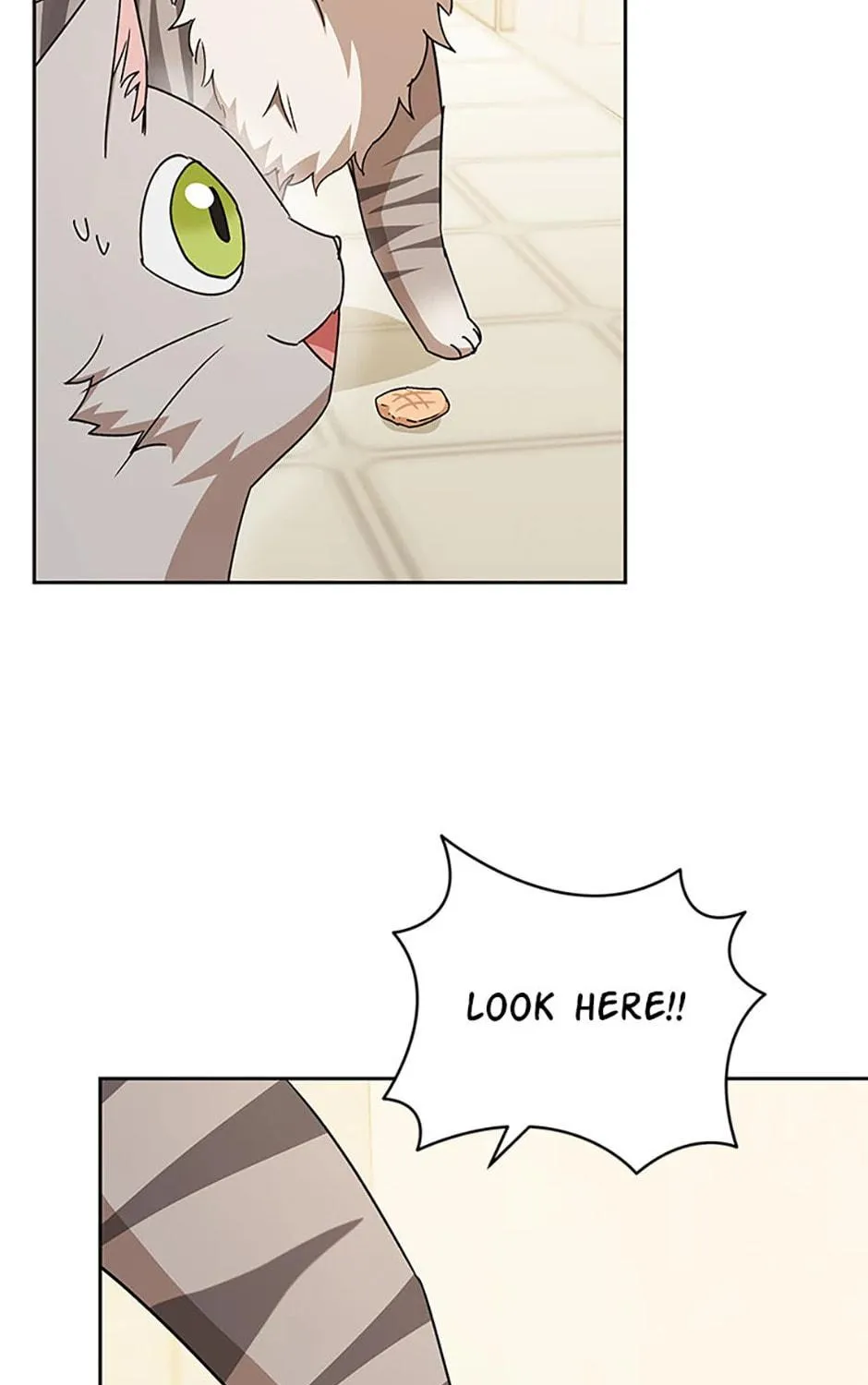 Read Veterinarian! Hello? chapter 81 image 124 on Lezhin