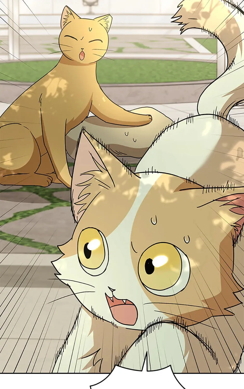 Read Veterinarian! Hello? chapter 81 image 54 on Lezhin
