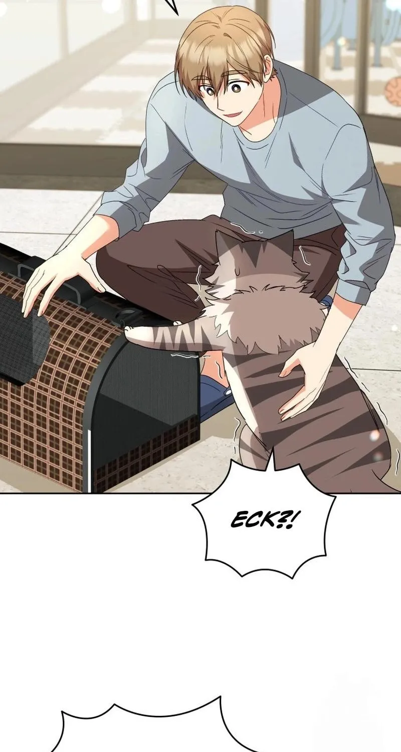 Read Veterinarian! Hello? chapter 83 image 43 on Lezhin