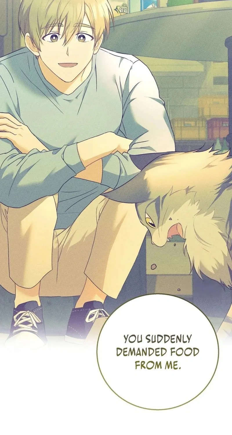 Read Veterinarian! Hello? chapter 83 image 75 on Lezhin