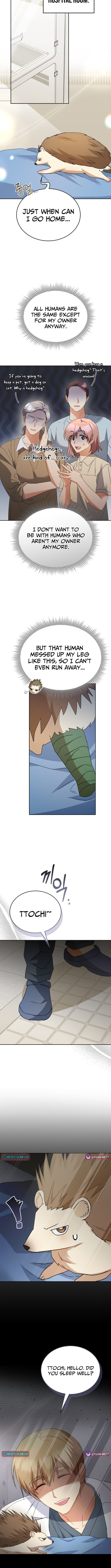 Read Veterinarian! Hello? chapter 99 image 10 on Lezhin
