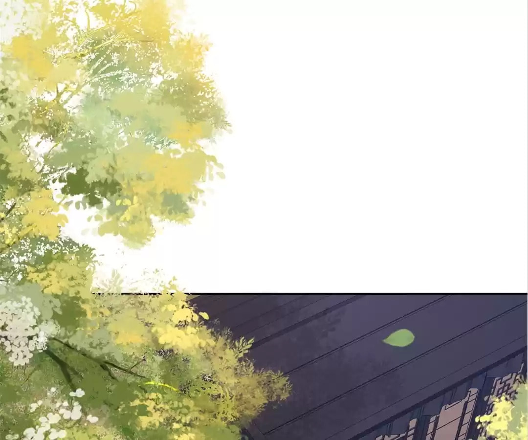 Villain Cultivator’s Secret Return Chapter 35 page 158 - 