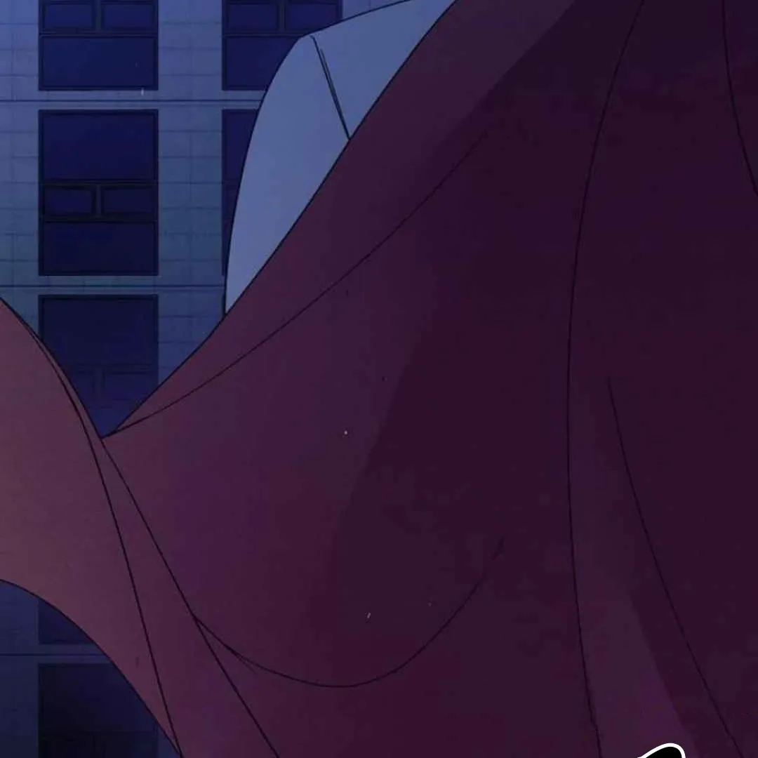 Villain's Private Secret Chapter 2 page 3 - 