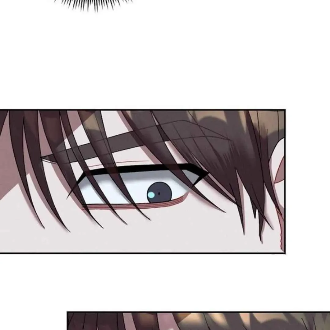 Villain's Private Secret Chapter 2 page 51 - 