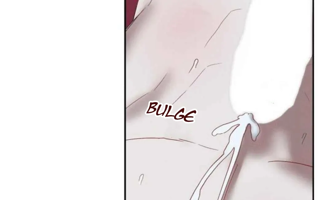 Villain's Private Secret Chapter 4 page 21 - 