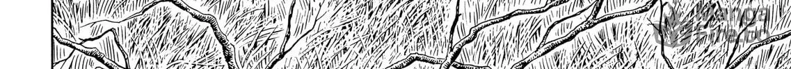 Read Vinland Saga chapter 123 image 23 on Lezhin