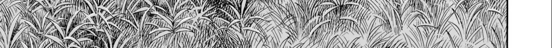 Read Vinland Saga chapter 161 image 1 on Lezhin