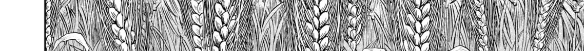 Read Vinland Saga chapter 191 image 7 on Lezhin